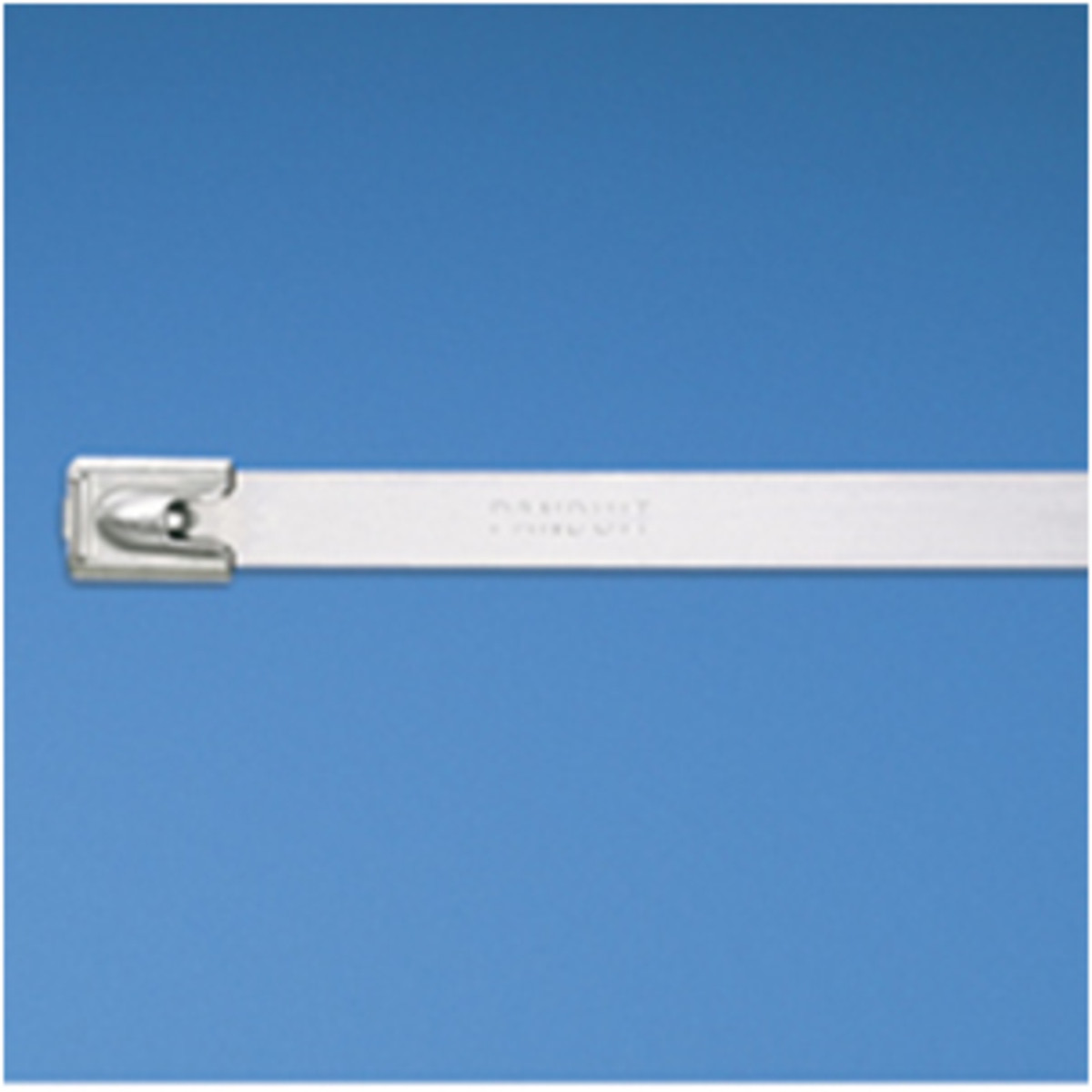 Panduit 838 x 7.9mm Stainless Steel Cable Ties Pack of 50
